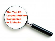 A list of top 20 largest Ethiopian companies released – Zegabi