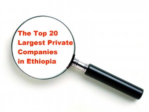 The 20 Largest Private and Share Companies in Ethiopia