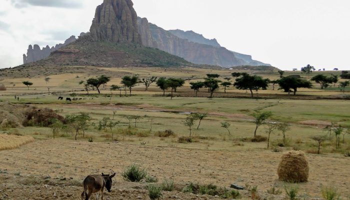 Rural highland landscape in northern Ethiopia for Tigray and Amhara borderlands context